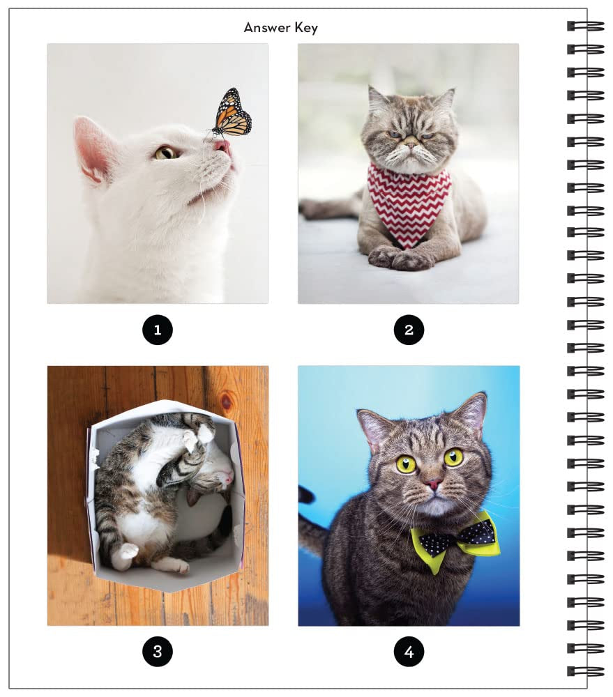 Brain Games - Sticker by Number: Cat-Itude (25 Images to Sticker)