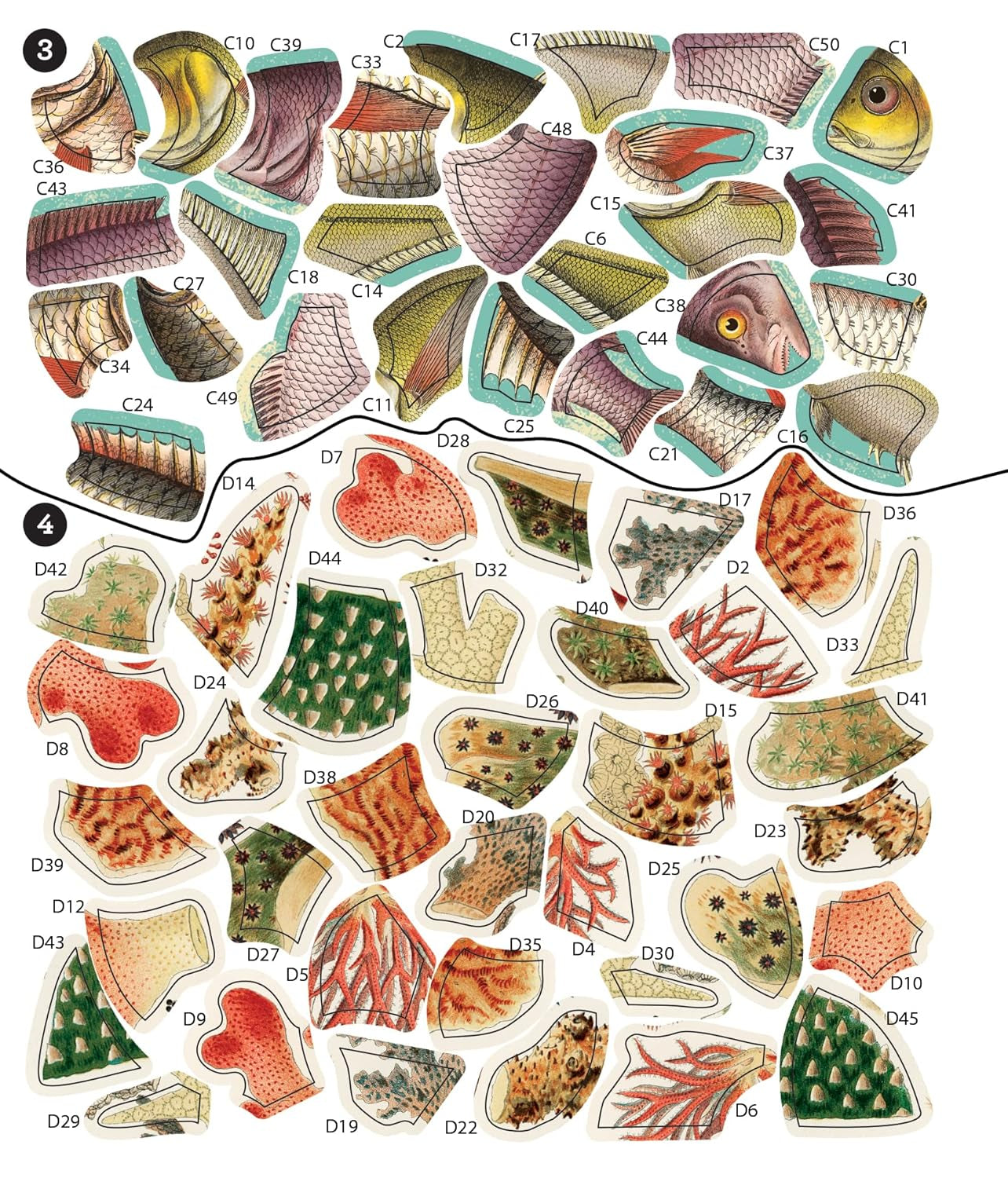 Brain Games - Sticker by Number - Vintage: Sea Life (28 Images to Sticker)
