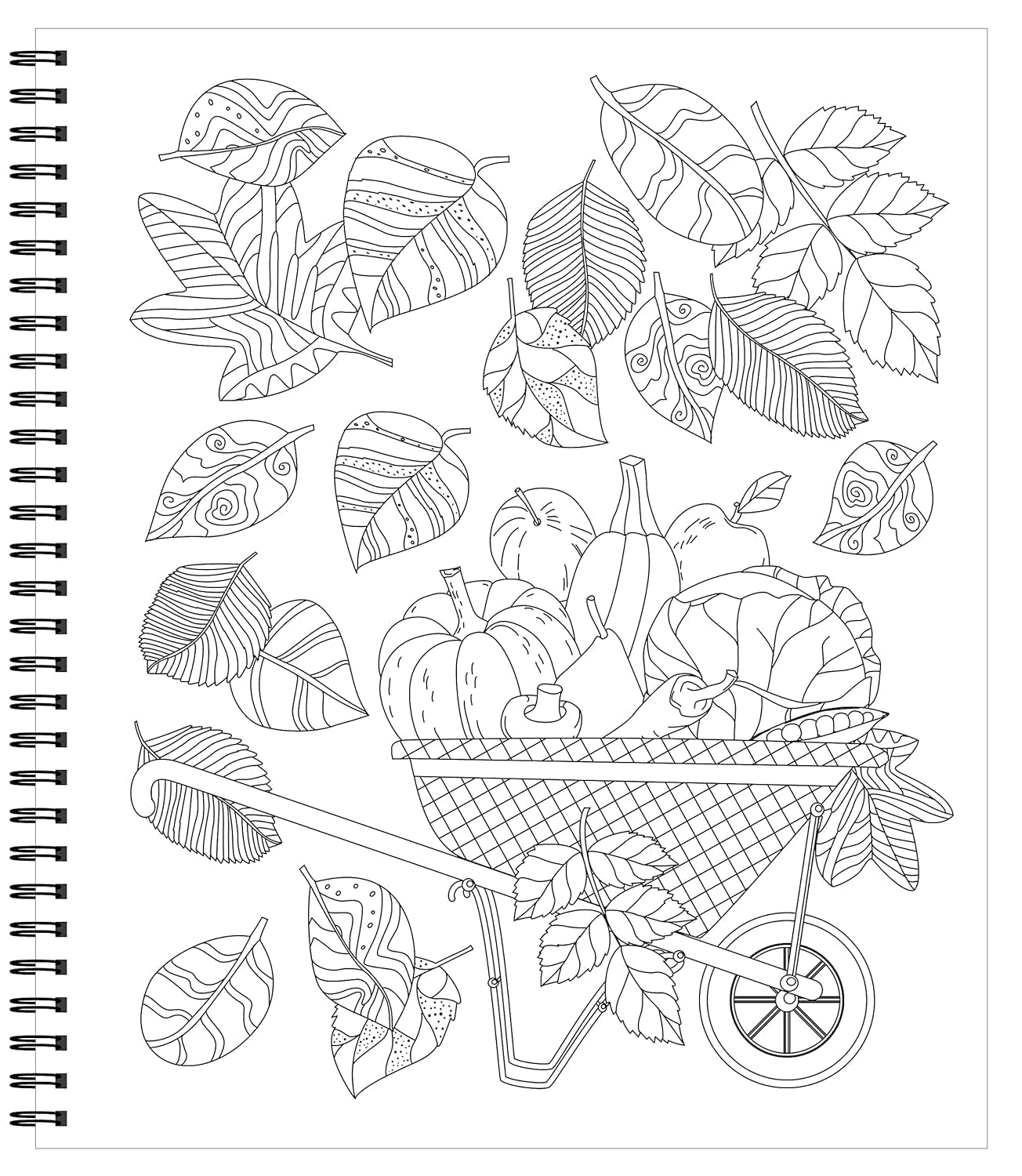 Large Print Easy Color & Frame - Garden (Stress Free Coloring Book)