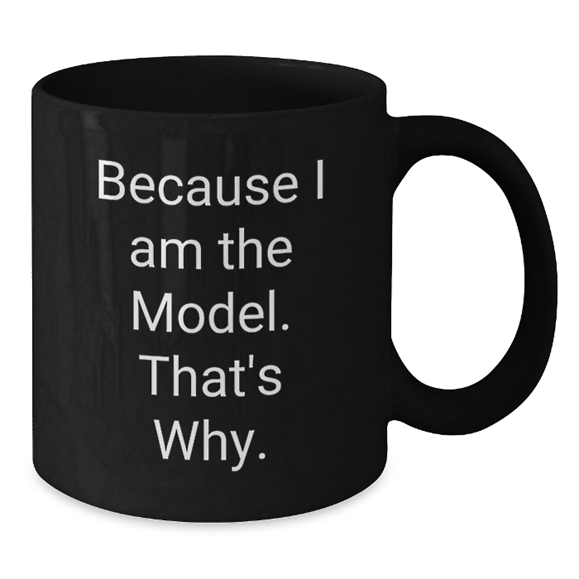 Fun Christmas Unique Gifts from Friends and Family for Model Lovers, Funny Quote Black Coffee Mug, Unique Holiday Mugs for Women and Men - Additional