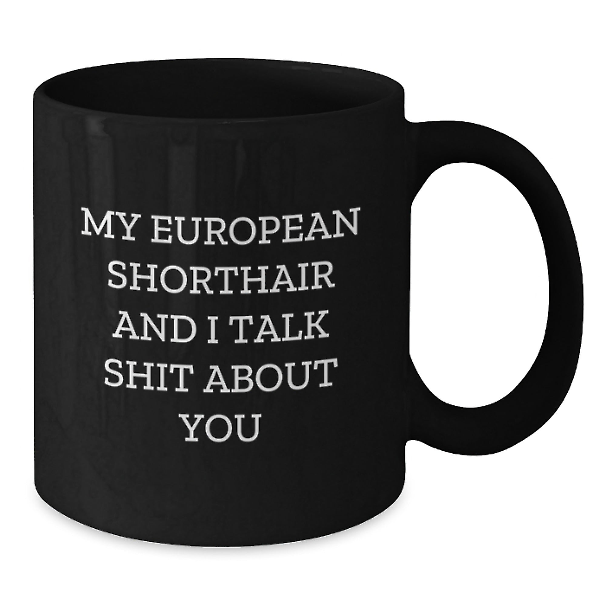 Quirky European Shorthair Novelty Mug – Birthday Gift for Friends - Additional