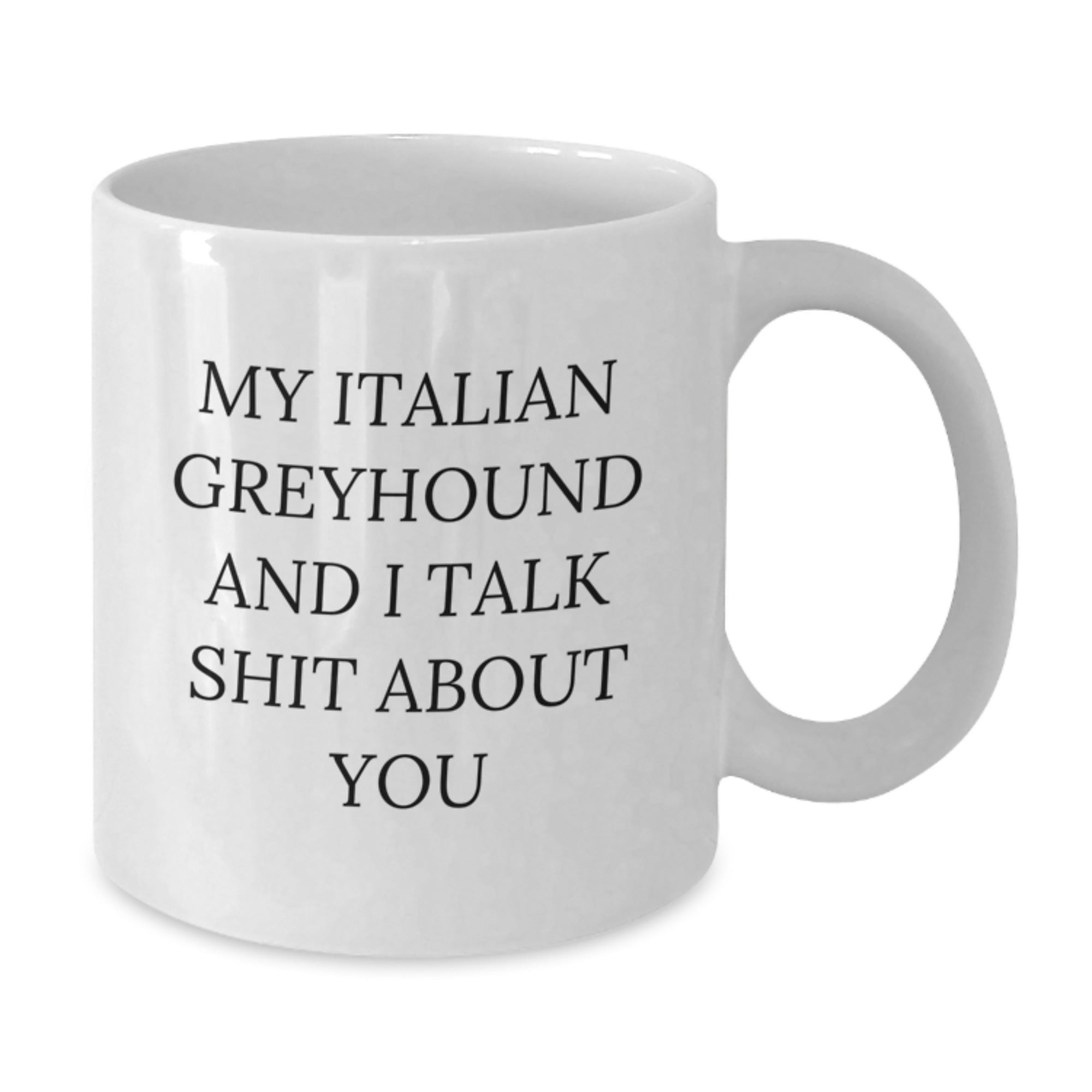 Funny Gifts for Italian Greyhound Dog Parents from Friends, White Coffee Mug for Men Women Family, My Italian Greyhound And I Talk Shit About You - Additional