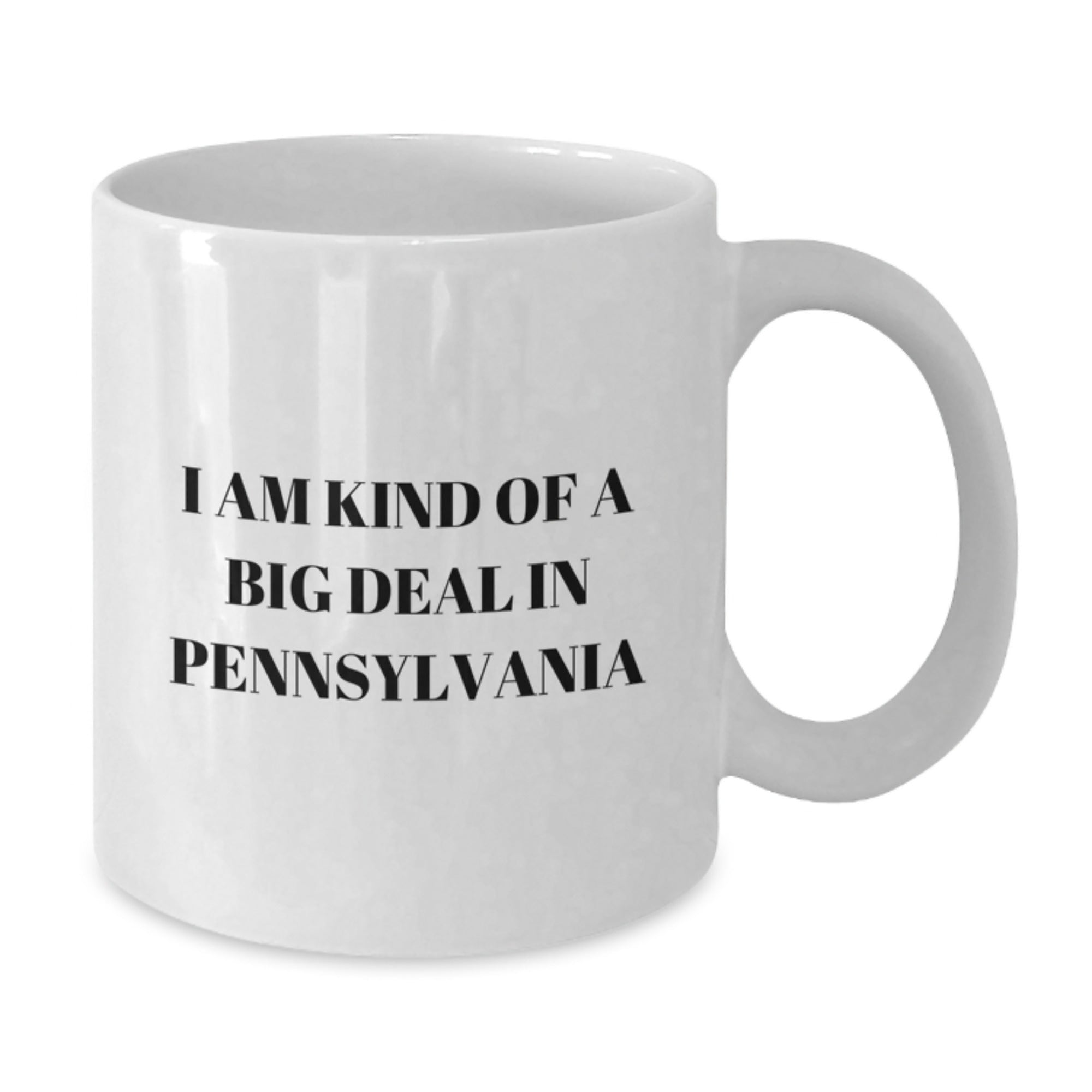 Christmas Gift for Her - I Am Kind Of A Big Deal In Pennsylvania Mug - Additional