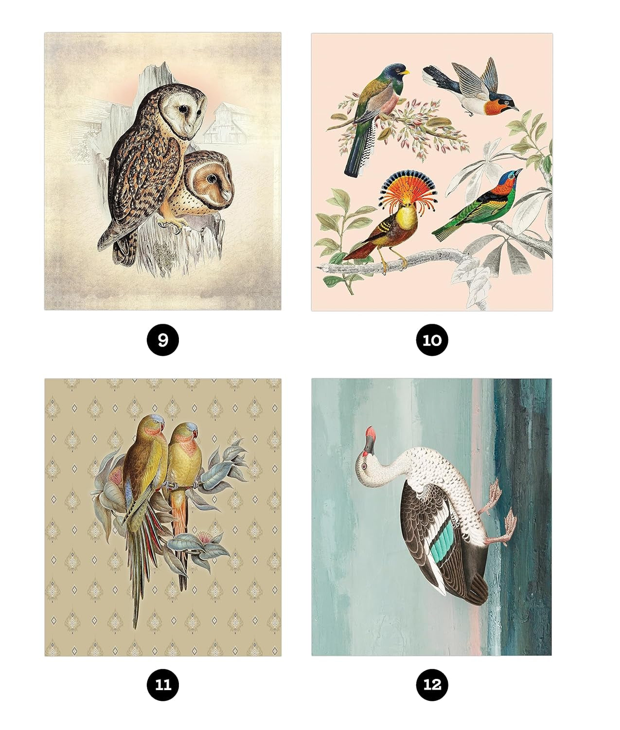 Brain Games - Sticker by Number - Vintage: Birds (28 Images to Sticker)