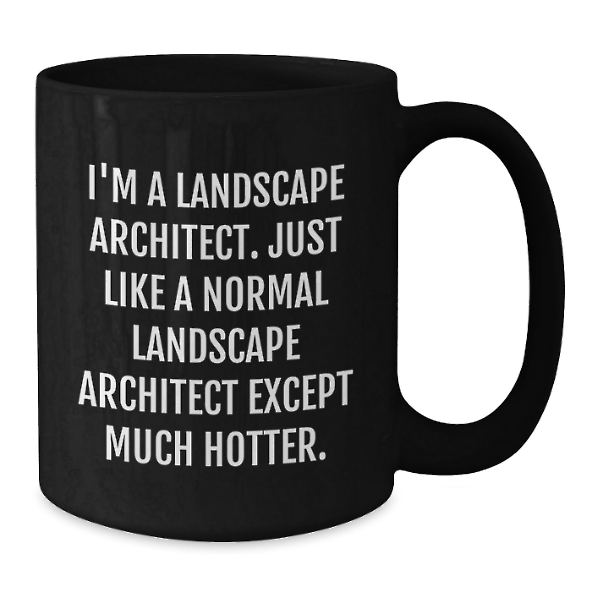 Landscape Architect Keepsake Mug for Him Christmas Gift - Additional