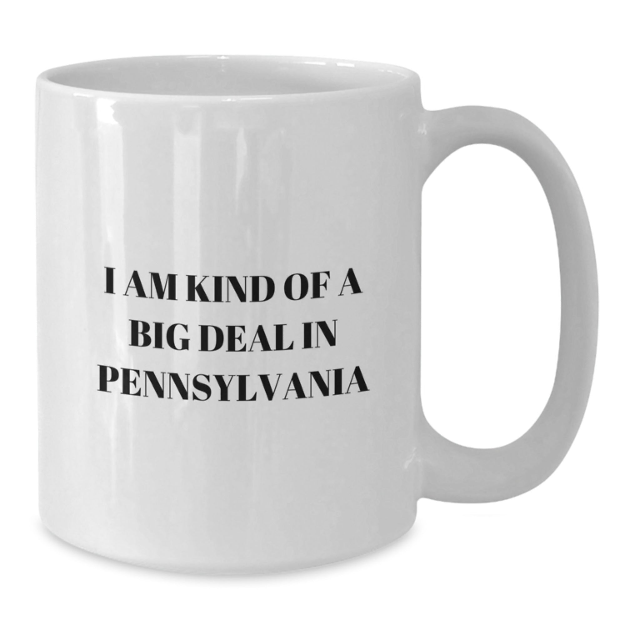 Christmas Gift for Her - I Am Kind Of A Big Deal In Pennsylvania Mug - Additional