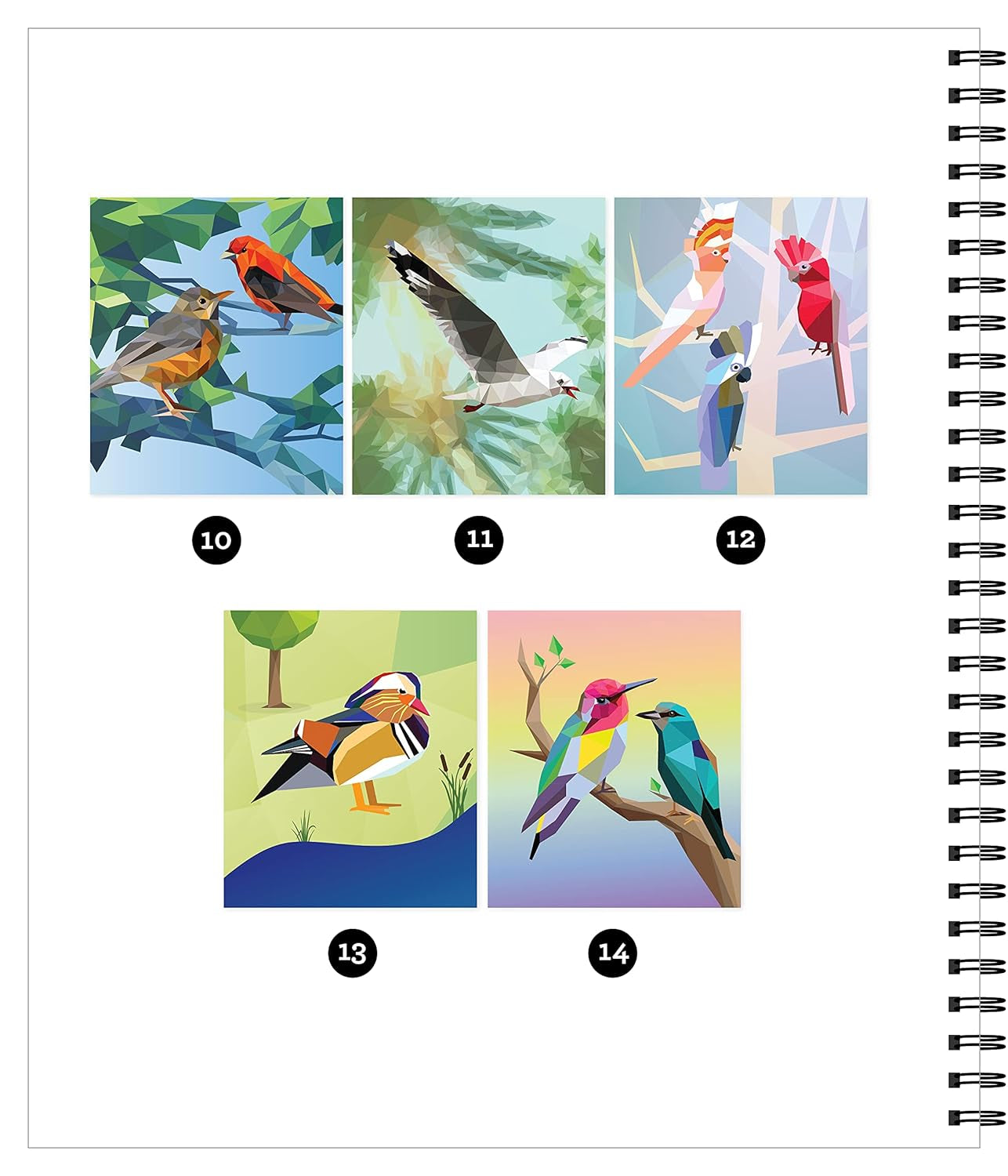 Brain Games - Sticker by Number: Birds