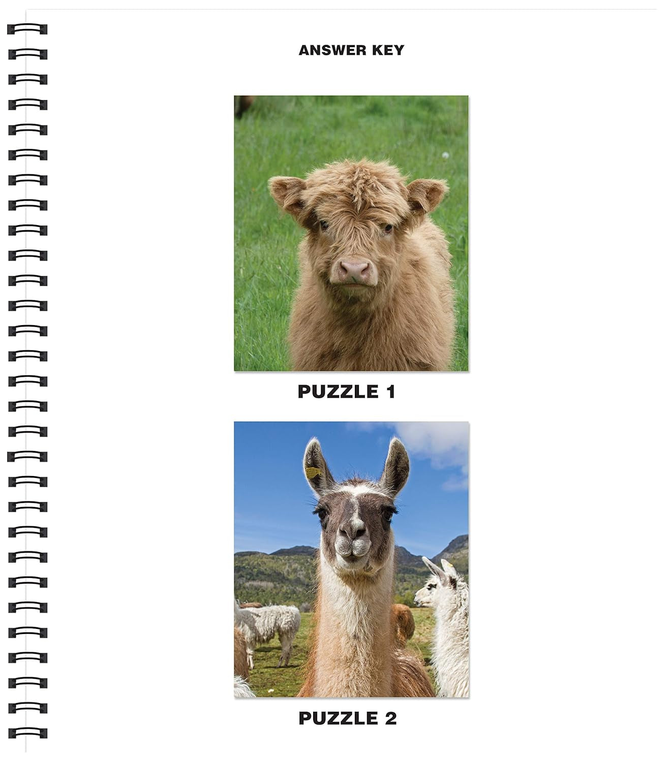 Brain Games - Sticker by Number: Farm Animals (Easy - Square Stickers): Create Beautiful Art with Easy to Use Sticker Fun!