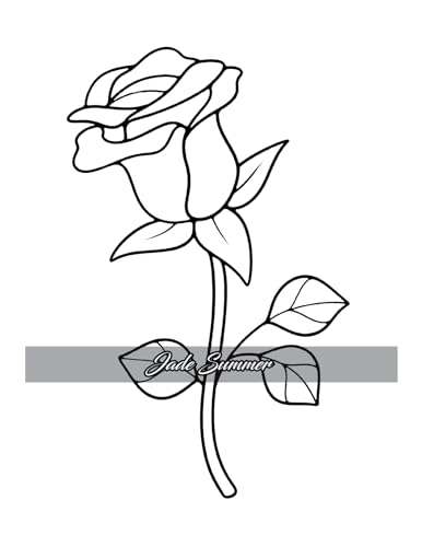 Simple Coloring Book: Easy, Bold, and Large Print Designs for Adults, Teens, Seniors, and Beginners (Easy Coloring Books)