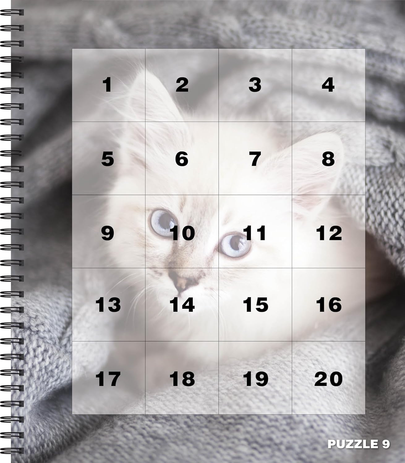 Brain Games - Sticker by Number: Cats & Kittens (Easy - Square Stickers): Create Beautiful Art with Easy to Use Sticker Fun!