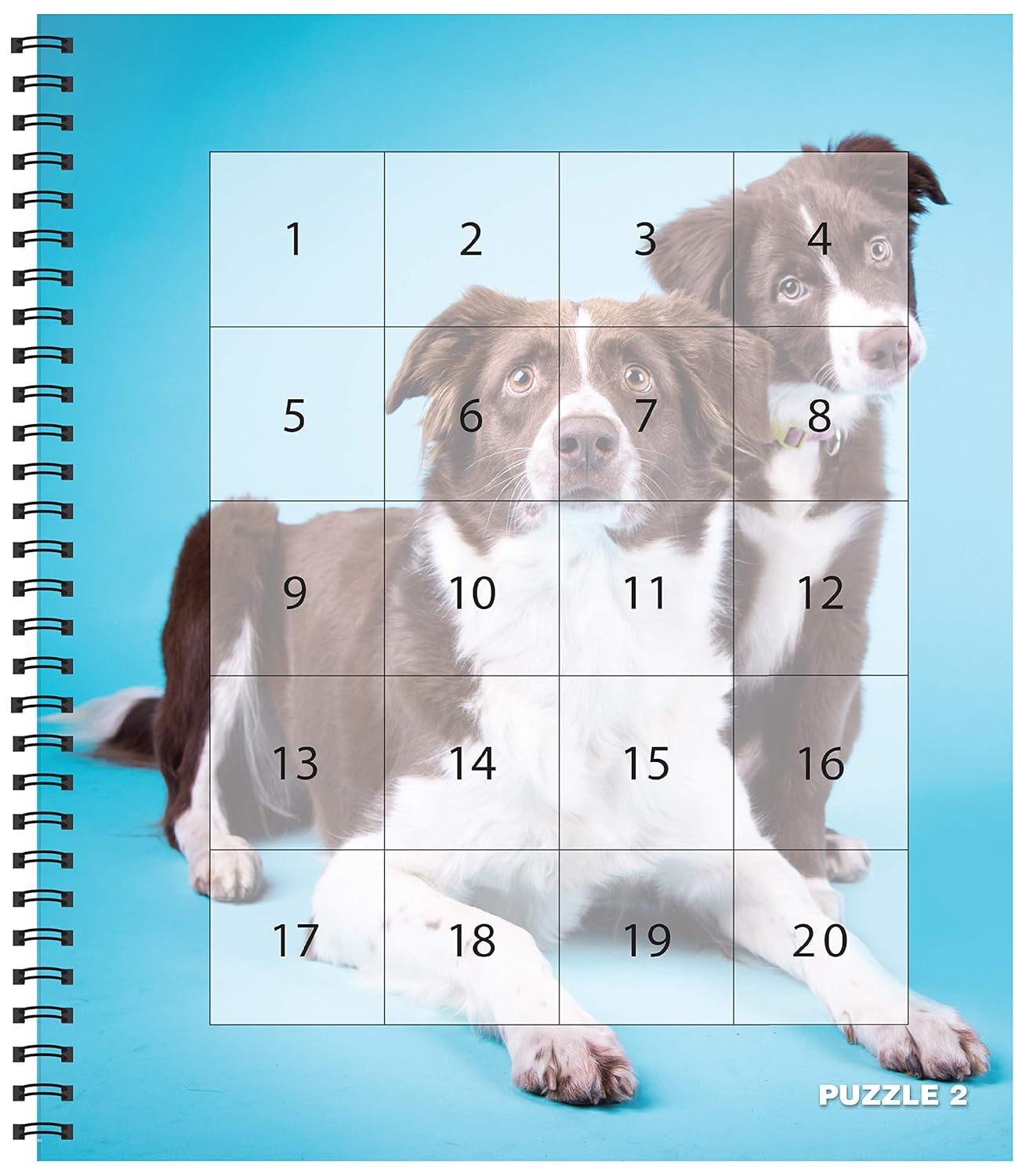 Brain Games - Sticker by Number: Dogs & Puppies (Easy - Square Stickers): Create Beautiful Art with Easy to Use Sticker Fun!