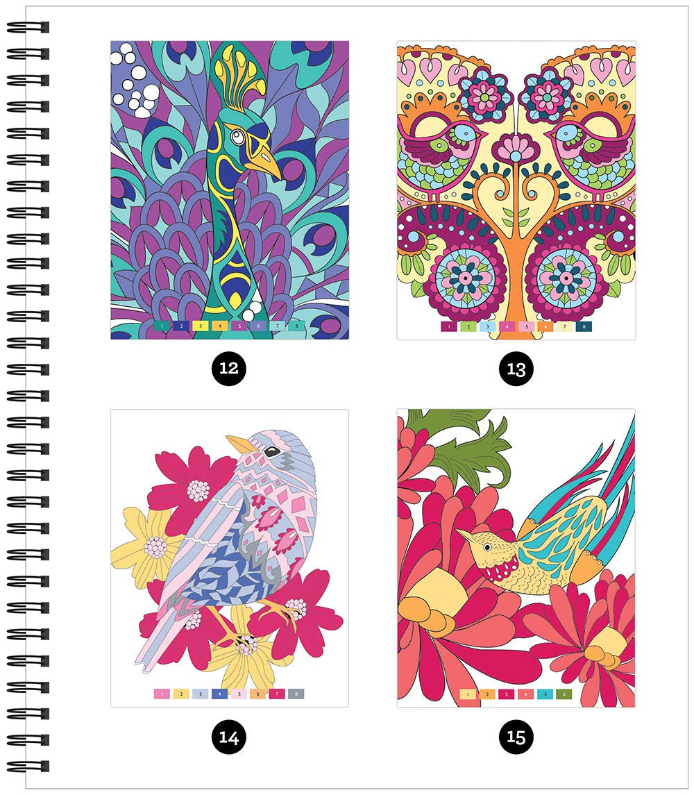 Brain Games - Color by Number: Birds