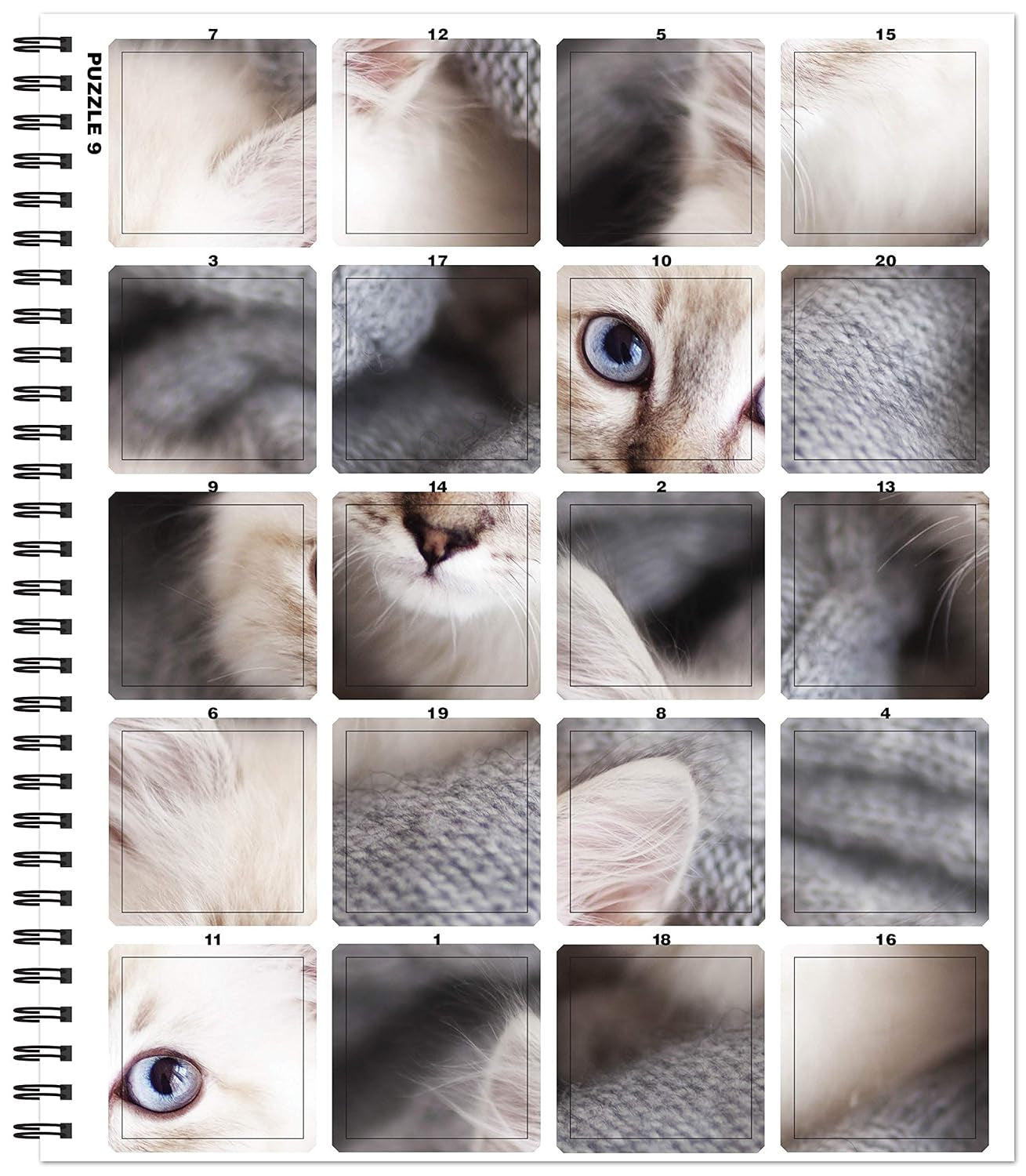 Brain Games - Sticker by Number: Cats & Kittens (Easy - Square Stickers): Create Beautiful Art with Easy to Use Sticker Fun!