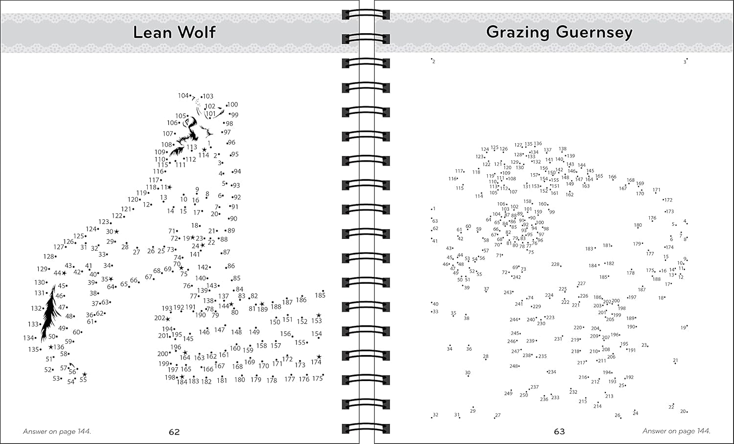 Brain Games - Dot-To-Dot Nature'S Garden