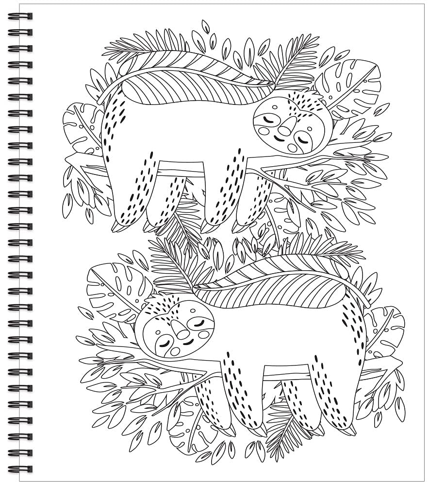 Color & Frame - Sloth (Adult Coloring Book)