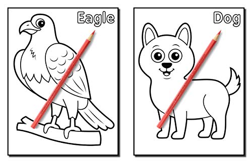 Animals for Toddlers: A Toddler Coloring Book with Fun, Simple, and Educational Coloring Pages for Kids Ages 1-3