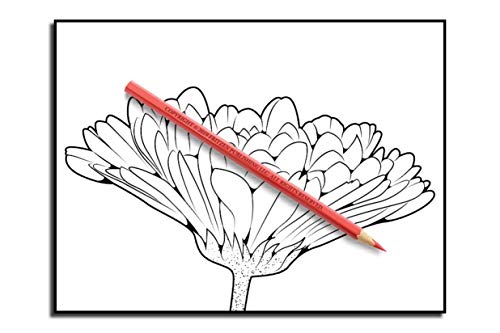 Beautiful Flowers: An Adult Coloring Book with 50 Relaxing Images of Roses, Lilies, Tulips, Cherry Blossoms, Sunflowers, Orchids, Violets, and More!