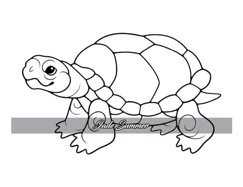 Simple Coloring Book: Easy, Bold, and Large Print Designs for Adults, Teens, Seniors, and Beginners (Easy Coloring Books)