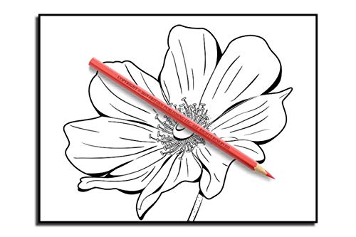 Beautiful Flowers: An Adult Coloring Book with 50 Relaxing Images of Roses, Lilies, Tulips, Cherry Blossoms, Sunflowers, Orchids, Violets, and More!