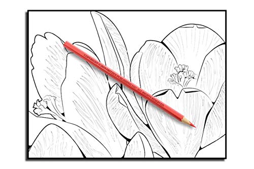 Beautiful Flowers: An Adult Coloring Book with 50 Relaxing Images of Roses, Lilies, Tulips, Cherry Blossoms, Sunflowers, Orchids, Violets, and More!