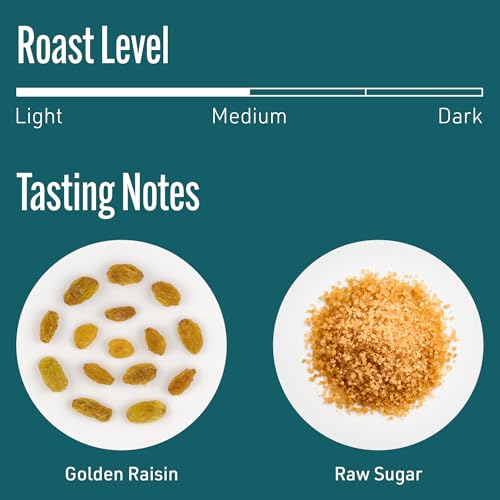 Intelligentsia Coffee, Medium Roast Whole Bean Coffee - Frequency Blend 12 Ounce Bag