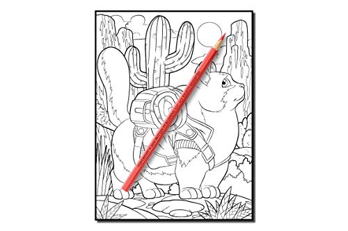 Cute Cats: An Adult Coloring Book with Funny Cats, Adorable Kittens, and Hilarious Scenes for Cat Lovers