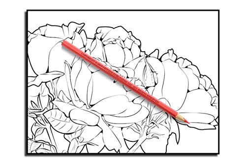 Beautiful Flowers: An Adult Coloring Book with 50 Relaxing Images of Roses, Lilies, Tulips, Cherry Blossoms, Sunflowers, Orchids, Violets, and More!