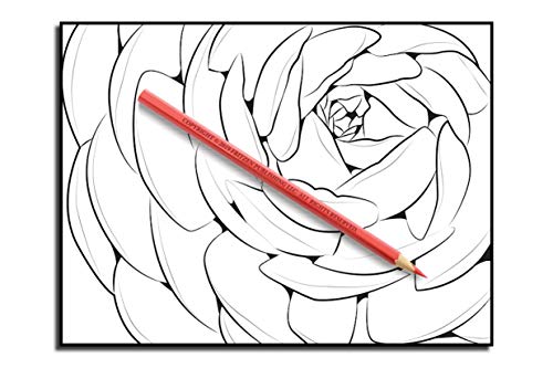 Beautiful Flowers: An Adult Coloring Book with 50 Relaxing Images of Roses, Lilies, Tulips, Cherry Blossoms, Sunflowers, Orchids, Violets, and More!