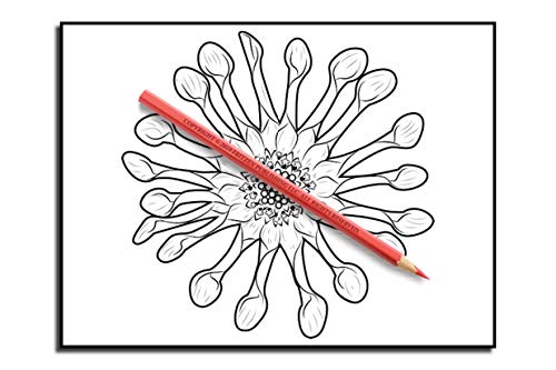 Beautiful Flowers: An Adult Coloring Book with 50 Relaxing Images of Roses, Lilies, Tulips, Cherry Blossoms, Sunflowers, Orchids, Violets, and More!