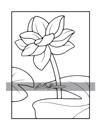 Simple Coloring Book: Easy, Bold, and Large Print Designs for Adults, Teens, Seniors, and Beginners (Easy Coloring Books)