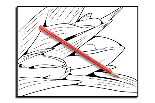 Beautiful Flowers: An Adult Coloring Book with 50 Relaxing Images of Roses, Lilies, Tulips, Cherry Blossoms, Sunflowers, Orchids, Violets, and More!