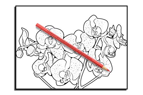 Beautiful Flowers: An Adult Coloring Book with 50 Relaxing Images of Roses, Lilies, Tulips, Cherry Blossoms, Sunflowers, Orchids, Violets, and More!