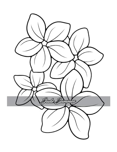 Simple Coloring Book: Easy, Bold, and Large Print Designs for Adults, Teens, Seniors, and Beginners (Easy Coloring Books)