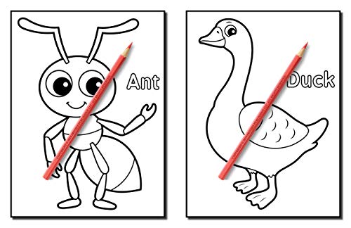 Animals for Toddlers: A Toddler Coloring Book with Fun, Simple, and Educational Coloring Pages for Kids Ages 1-3