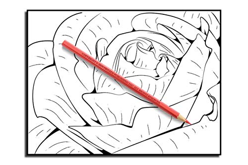 Beautiful Flowers: An Adult Coloring Book with 50 Relaxing Images of Roses, Lilies, Tulips, Cherry Blossoms, Sunflowers, Orchids, Violets, and More!