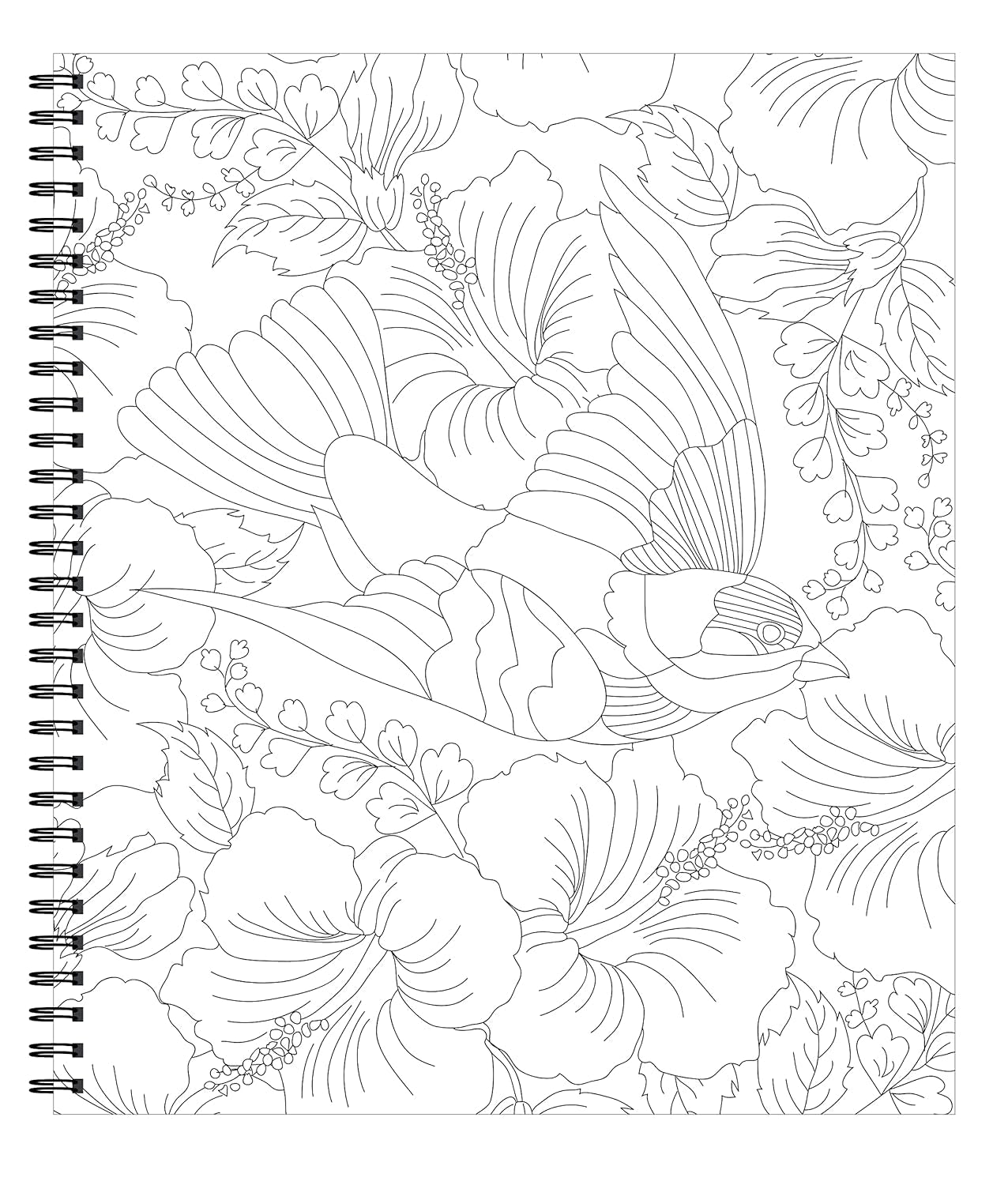 Large Print Easy Color & Frame - Birds (Stress Free Coloring Book)