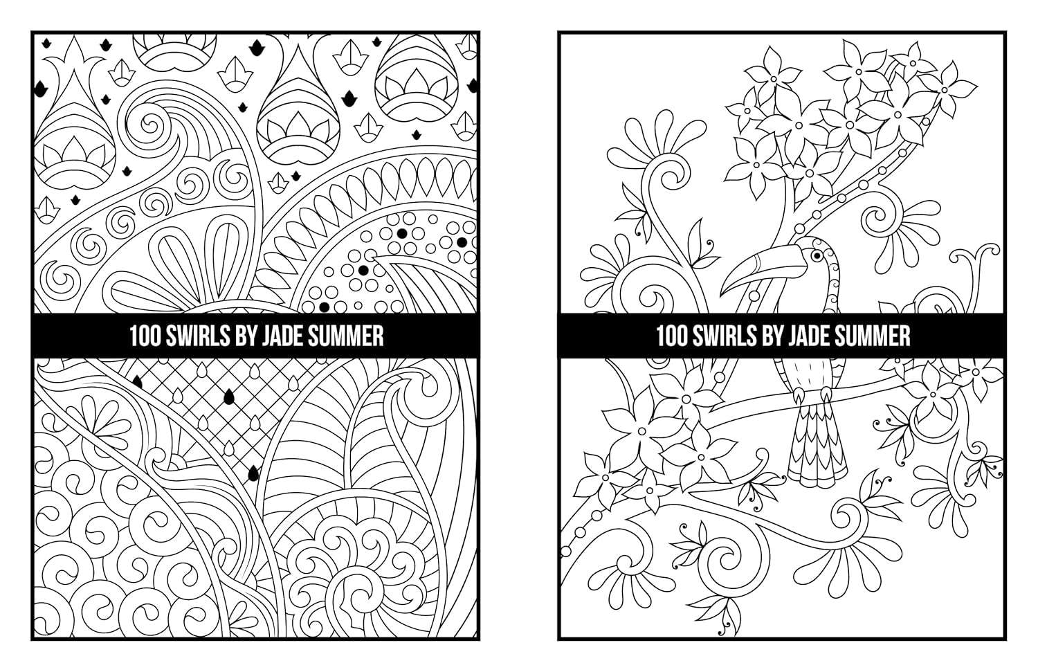 100 Swirls Coloring Book: for Adults with Fun, Easy, and Relaxing Designs