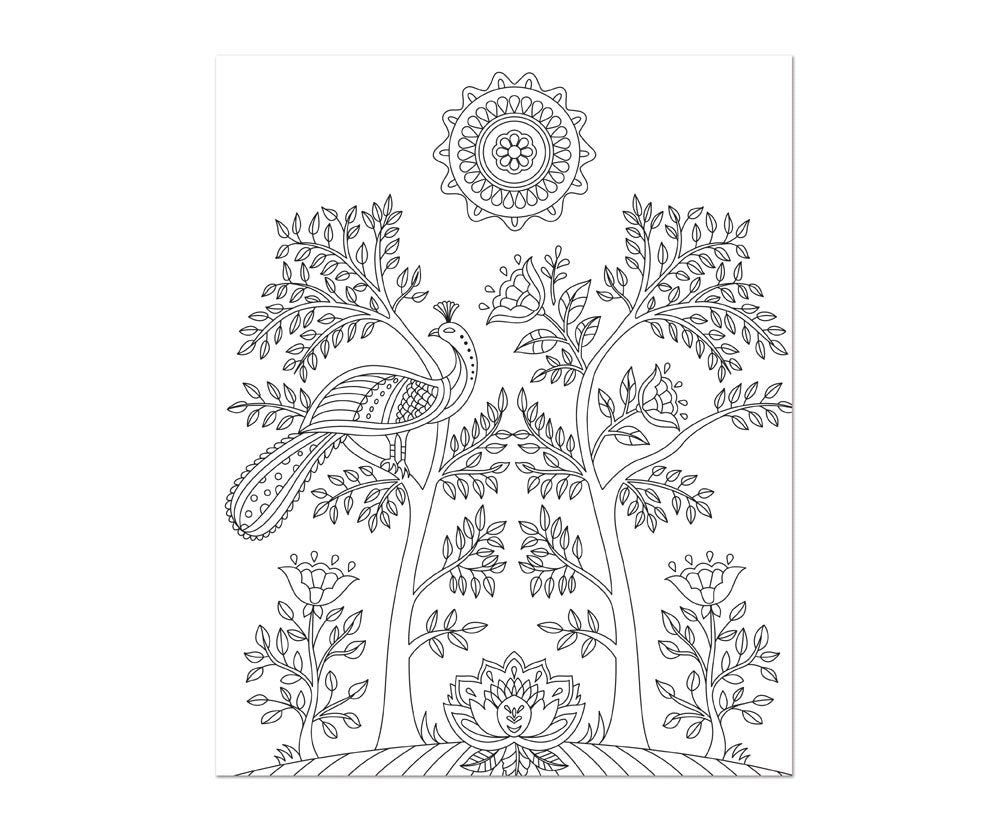 Color & Frame - in the Garden (Adult Coloring Book)