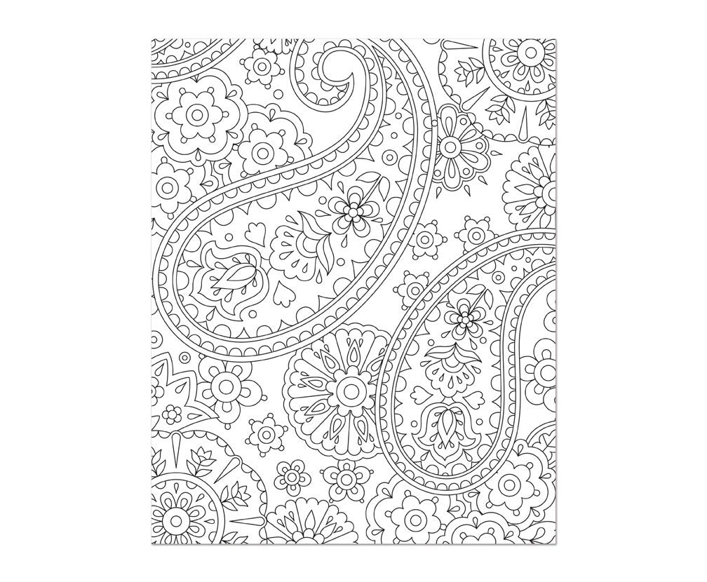 Color & Frame - in the Garden (Adult Coloring Book)