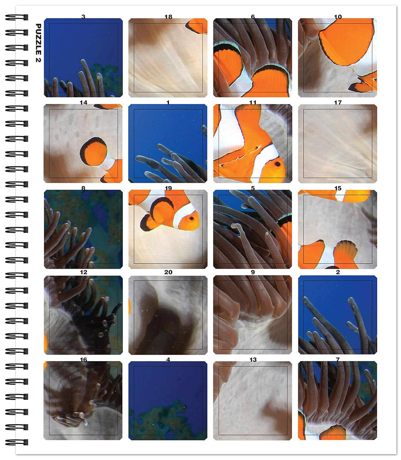 Brain Games - Sticker by Number: Ocean Life (Easy - Square Stickers): Create Beautiful Art with Easy to Use Sticker Fun!