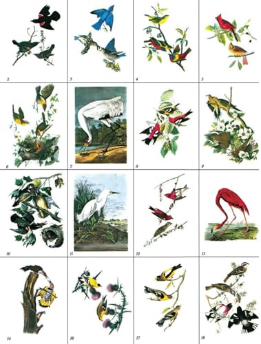 Audubon's Birds of America Coloring Book