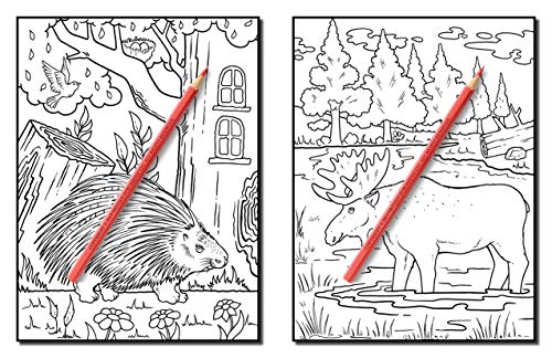 Forest Animals: An Adult Coloring Book with Adorable Woodland Creatures, Delightful Fantasy Elements, and Peaceful Nature Scenes