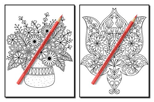 Springtime Flowers: An Adult Coloring Book with Beautiful Spring Flowers, Fun Flower Designs, and Easy Floral Patterns for Relaxation