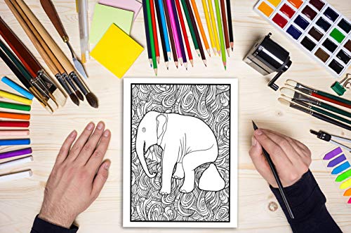 Pooping Animals: A Funny Coloring Book for Adults