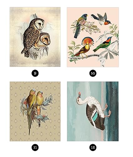 Brain Games - Sticker by Number - Vintage: Birds (28 Images to Sticker)