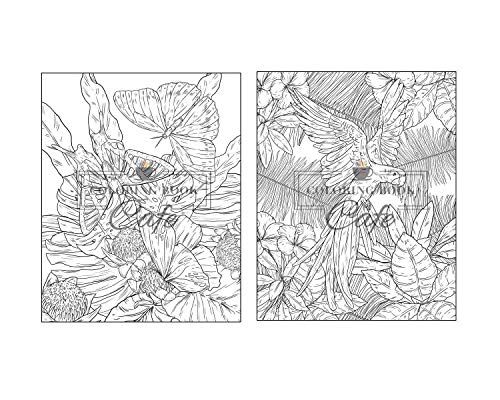 100 Wildlife Scenes: An Adult Coloring Book Featuring 100 Most Beautiful Wildlife Scenes with Animals, Birds and Flowers from Oceans, Jungles, Forests and Savannas