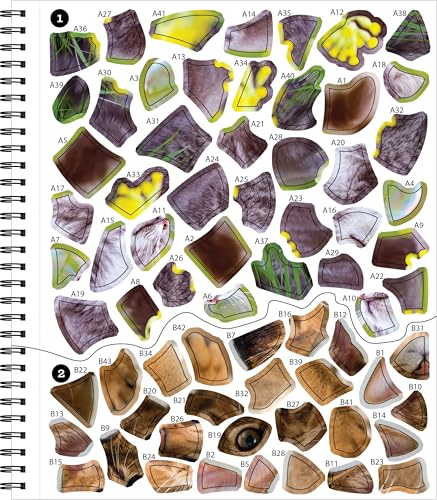 Brain Games - Sticker by Number: All You Need is Cats (27 Images to Sticker)
