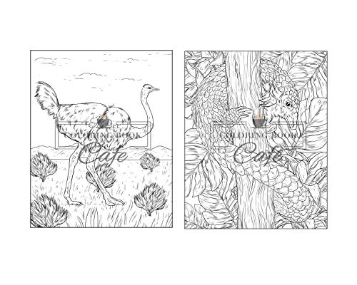 100 Wildlife Scenes: An Adult Coloring Book Featuring 100 Most Beautiful Wildlife Scenes with Animals, Birds and Flowers from Oceans, Jungles, Forests and Savannas
