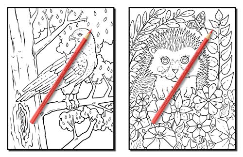 Forest Animals: An Adult Coloring Book with Adorable Woodland Creatures, Delightful Fantasy Elements, and Peaceful Nature Scenes