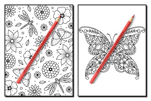 Springtime Flowers: An Adult Coloring Book with Beautiful Spring Flowers, Fun Flower Designs, and Easy Floral Patterns for Relaxation